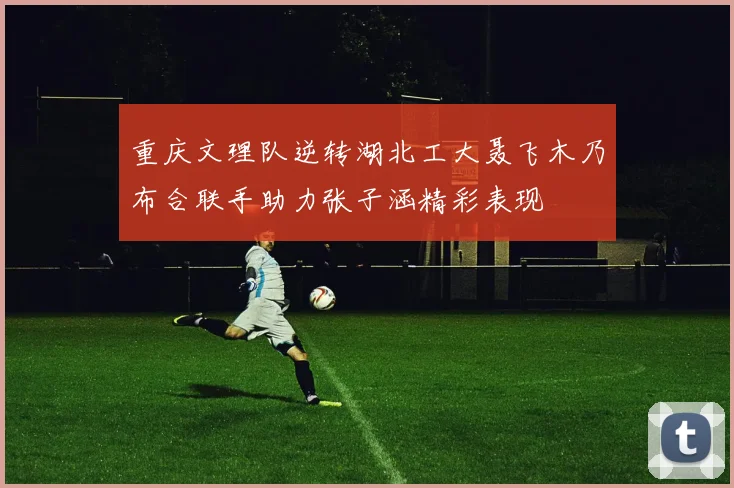 重庆文理队逆转湖北工大聂飞木乃布合联手助力张子涵精彩表现