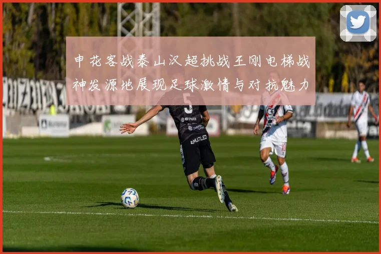 申花客战泰山汉超挑战王刚电梯战神发源地展现足球激情与对抗魅力