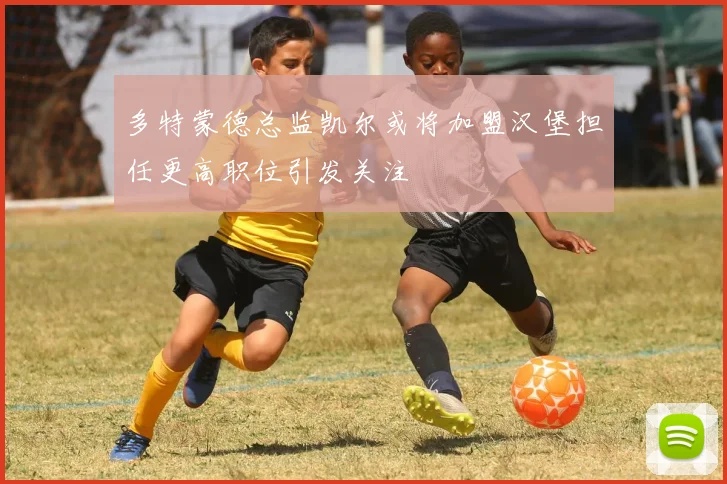 多特蒙德总监凯尔或将加盟汉堡担任更高职位引发关注