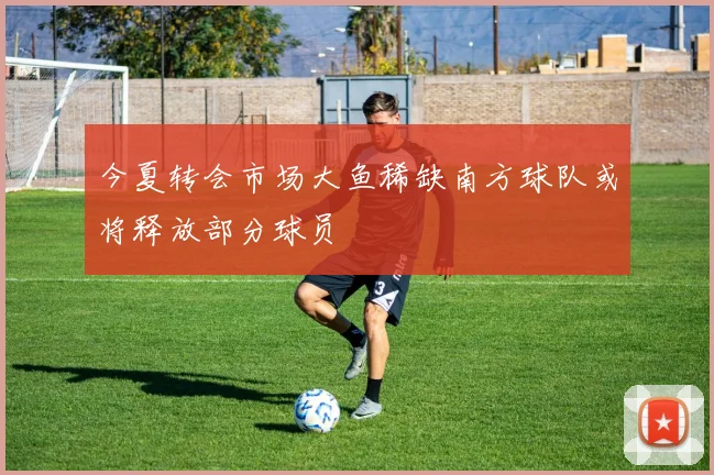 今夏转会市场大鱼稀缺南方球队或将释放部分球员